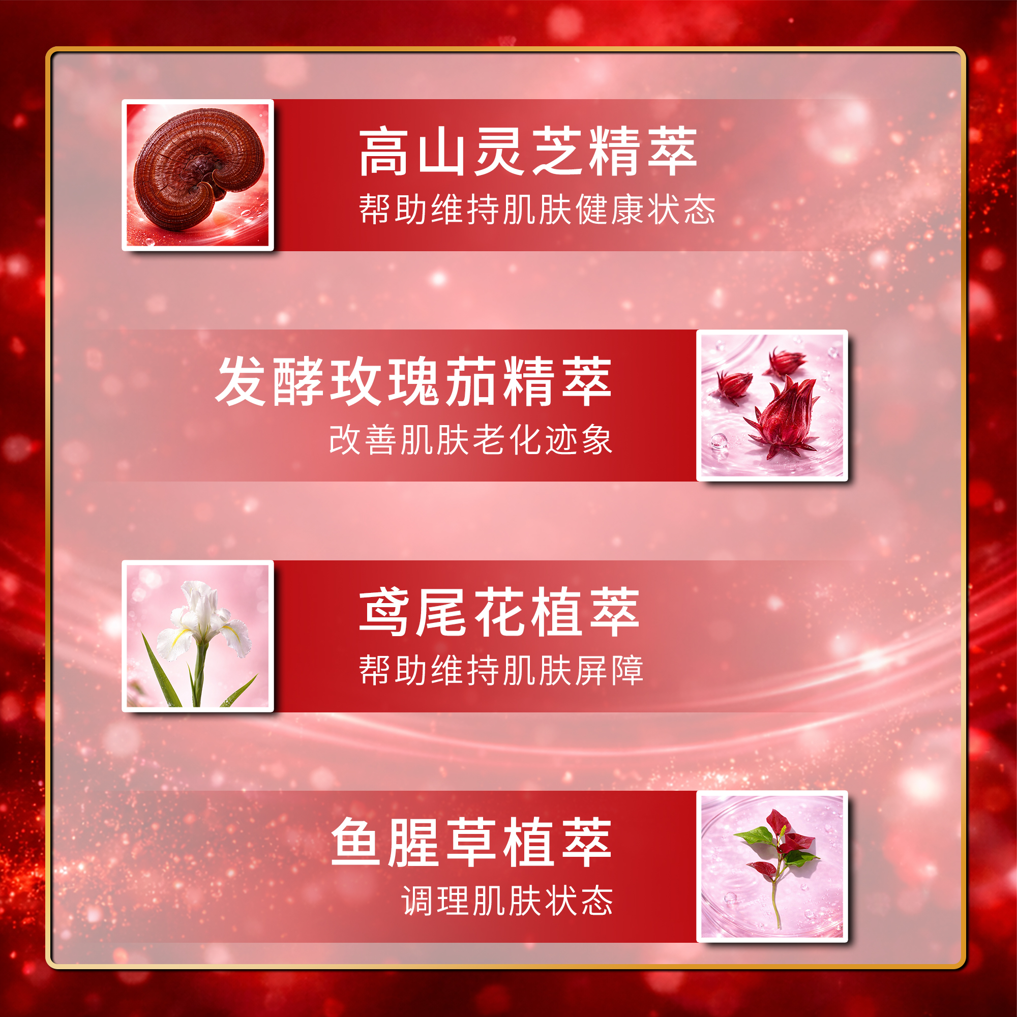 紅妍肌活精華露 詳情圖片 4